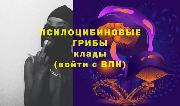 мет Верхний Тагил