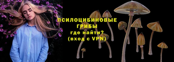 мет Верхний Тагил