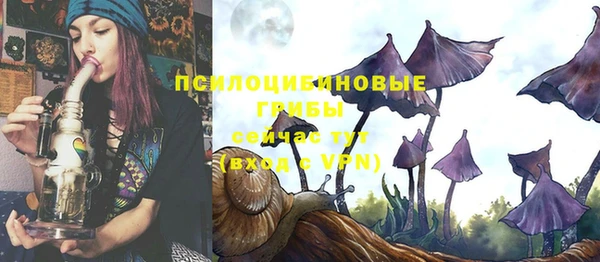 сатива Верхнеуральск