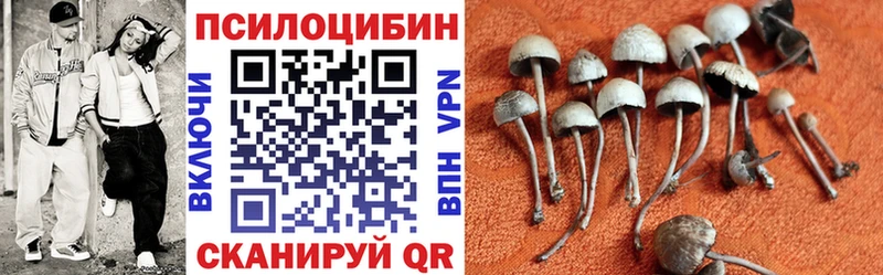 Псилоцибиновые грибы GOLDEN TEACHER  Мончегорск 